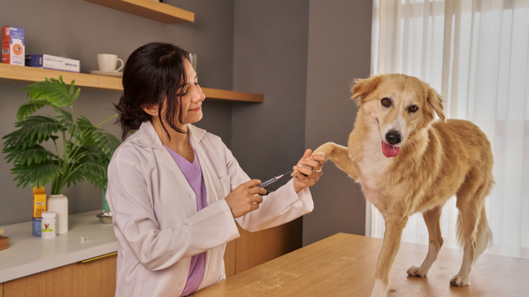 How Much Do Pet Vaccines Cost