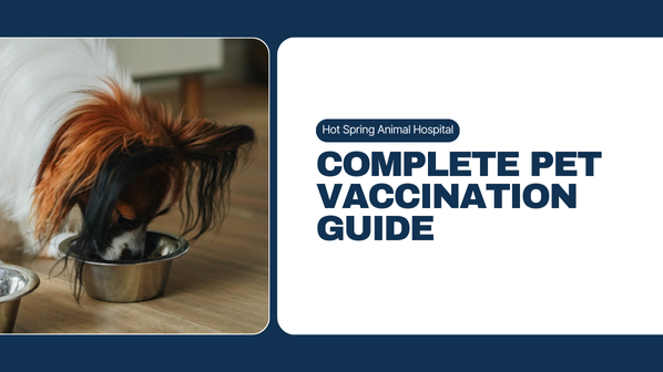 Pet Vaccination Guide