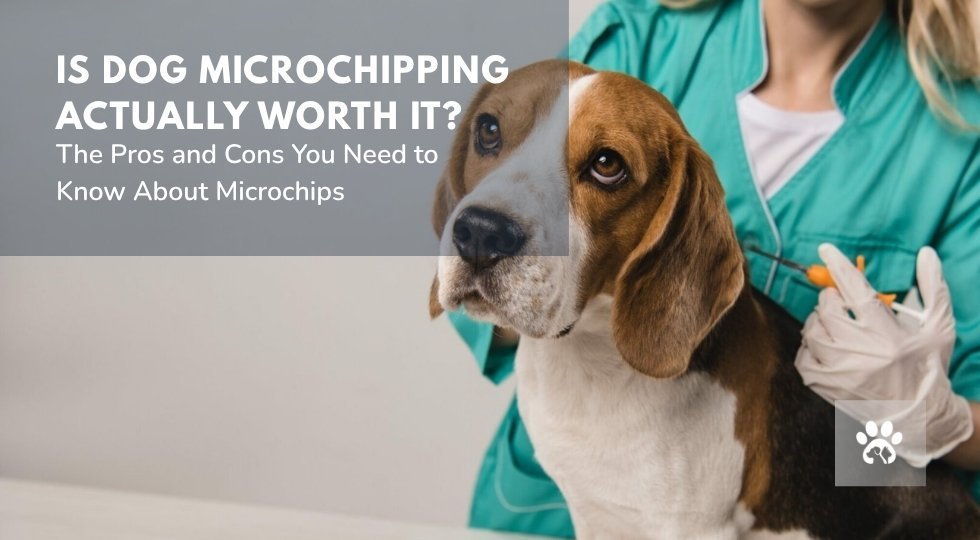 dog microchip pros and cons guide
