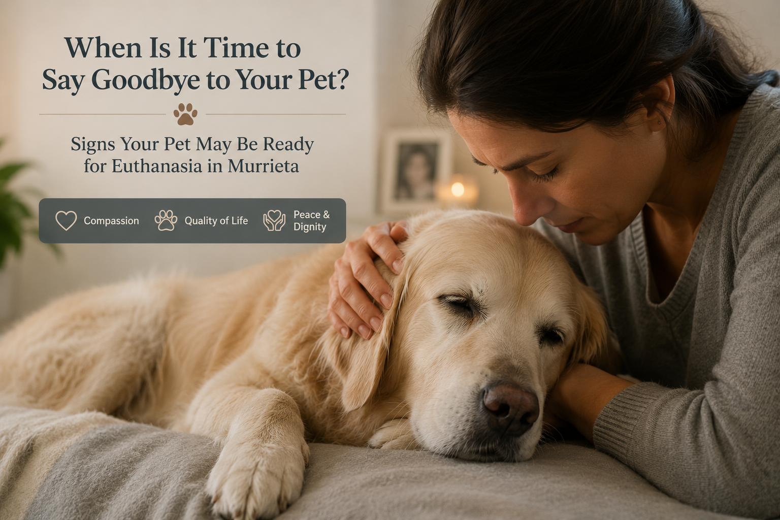 Signs Your Pet May Be Ready for Euthanasia in Murrieta Signs Your Pet May Be Ready for Euthanasia in Murrieta